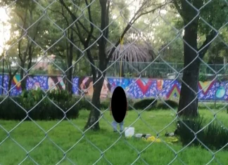Hallan cadáver en inmediaciones de Viveros de Coyoacán
