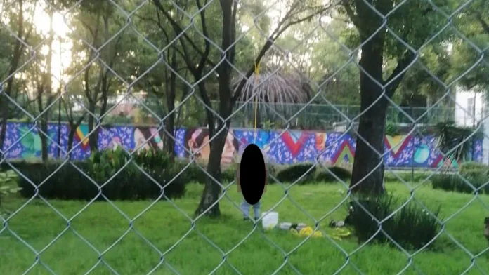 persona-muerta-cerca-de-los-viveros-de-coyoacan