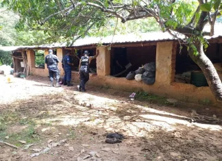Guerrero / Asesinan a comisario de la comunidad de Cuajilotla