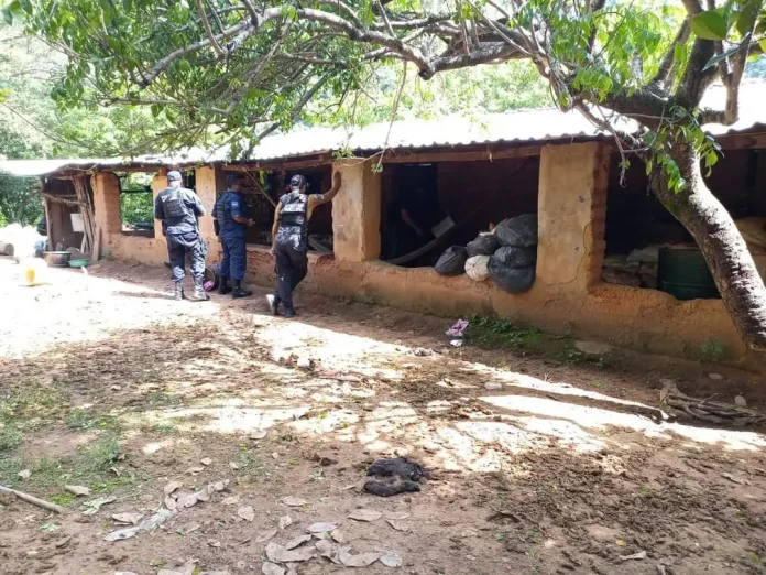 sitio-donde-fueron-hallados-los-cuerpos-de-cinco-personas-en-mochitlan-guerrero