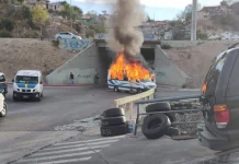 Yo Campesino / Más masacres