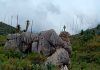 Piedra campana
