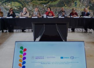 Homo Espacios / Teotihuacan, el FIFMX… y otras notas