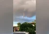 Sinaloa / Tornado provocó caída de árboles en Guamúchil