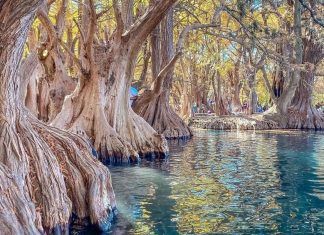 Parque Nacional Lago de Camécuaro en Michoacán