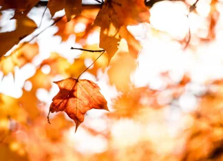Noches más largas en otoño