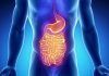 Artículo / Metabolismo y salud