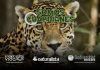 Artículo / ¡Peligra patrimonio natural y biocultural!