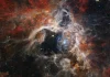Telescopio espacial James Webb ha descubierto miles de estrellas