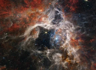 Telescopio espacial James Webb ha descubierto miles de estrellas
