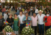 Asociación de Maguey y Mezcal A.C.