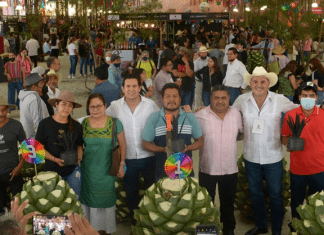 Asociación de Maguey y Mezcal A.C.