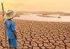 Cambio climático y competitividad