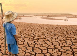 Cambio climático y competitividad