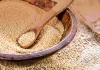 Amaranto, alimento altamente nutritivo