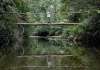 Bosque Atlántico, actualmente con menos de una cuarta parte de su vegetación nativa original
