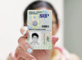 Cédula profesional