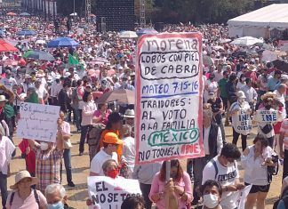 Yo Campesino / INE sí