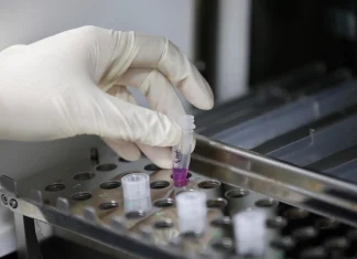 Identifican cómo las células tumorales pueden desactivar el sistema inmunitario