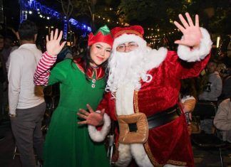 Arma sensacional posada en la Alameda Central, la diputada Silvia Sánchez Barrios