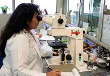 Mujeres continúan siendo minoría en carreras de ciencias, tecnología, ingenierías y matemáticas