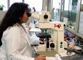 Mujeres continúan siendo minoría en carreras de ciencias, tecnología, ingenierías y matemáticas