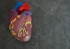 Olas de frío y calor disparan riesgo de muerte en las personas con problemas cardiovasculares