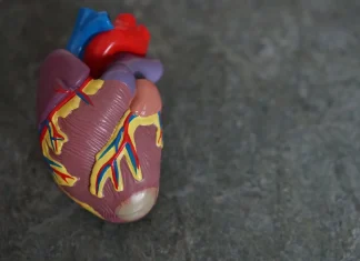 Olas de frío y calor disparan riesgo de muerte en las personas con problemas cardiovasculares