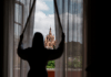San Miguel de Allende se convierte en la “Ciudad Más Amigable del Mundo”