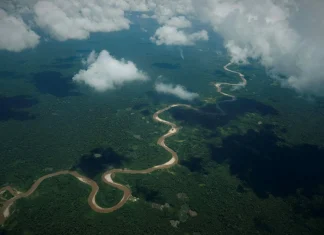 Riesgo probable de descontrol del cambio climático con más de 1.5 ºC: OCDE