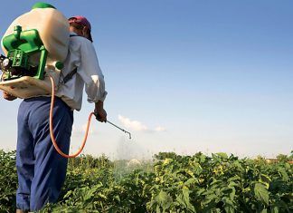 Plaguicidas, necesarios en agricultura