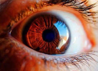 Retina: fuente potencial para diagnosticar alzhéimer