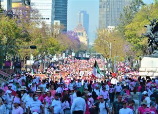 Sólo digo lo que veo / De la democracia, y la ciudadanía
