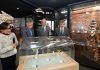 Exponen vasto acervo biológico de la UNAM