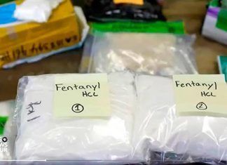Muertes por sobredosis de drogas, epidemia sin paralelo en Estados Unidos