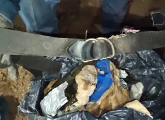 Guanajuato / Hallan fosa clandestina con siete cuerpos