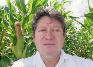 ESPECIAL / ¡Retrógrada, política agraria de AMLO!