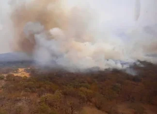 Jalisco / Suman once incendios forestales en ZM de Guadalajara