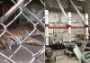 Estado de México / Rescatan a 47 animales en predio de Huixquilucan