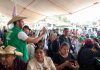 Desde Sultepec, el sur se pinta de Verde