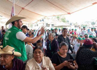 Desde Sultepec, el sur se pinta de Verde