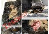 Delfina estuvo consciente de masacre de perros en Texcoco