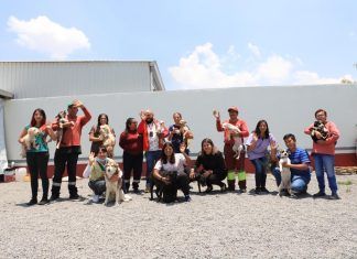 La Unidad de Control de Bienestar Animal ha resguardado 34 animales que sufrían agresión