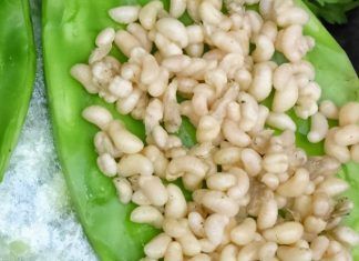 Gastronomía de los escamoles