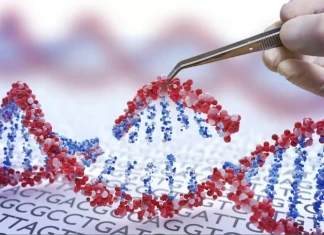 Investigadores chinos desarrollaron herramiento de edición genética