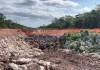Cueva «Dama Blanca» se encuentra intacta: INAH