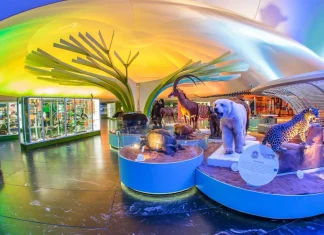 Durante 2022 más de 37.5 millones de personas visitaron museos mexicanos