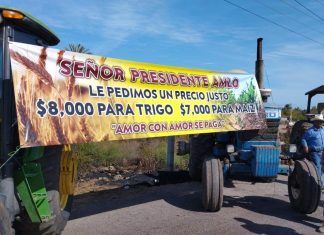 ESPECIAL / ¡Exasperación!