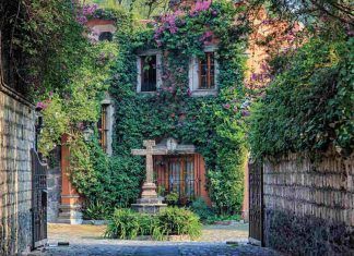 Cultura / El Barrio de San Ángel, tesoro cultural de la Ciudad de México