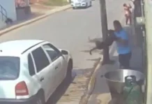 Sentencian a 5 años a sujeto que aventó a perrito a cazo de aceite hirviendo